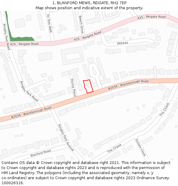 1, BLANFORD MEWS, REIGATE, RH2 7EP: Location map and indicative extent of plot