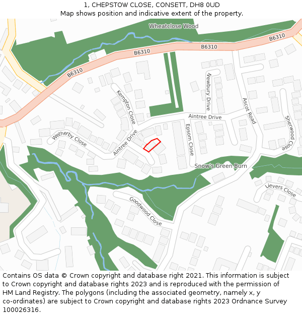 1, CHEPSTOW CLOSE, CONSETT, DH8 0UD: Location map and indicative extent of plot
