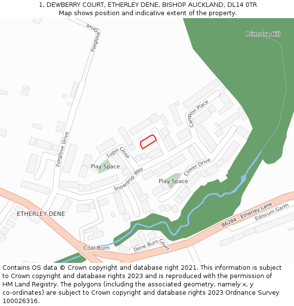 1, DEWBERRY COURT, ETHERLEY DENE, BISHOP AUCKLAND, DL14 0TR: Location map and indicative extent of plot