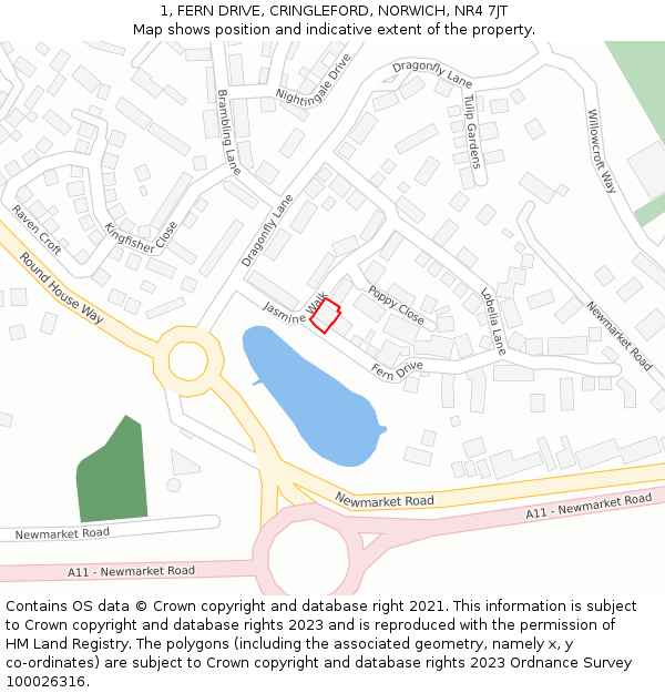 1, FERN DRIVE, CRINGLEFORD, NORWICH, NR4 7JT: Location map and indicative extent of plot