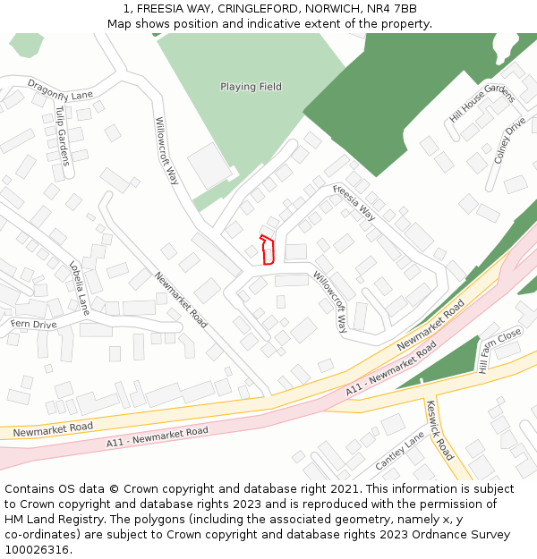 1, FREESIA WAY, CRINGLEFORD, NORWICH, NR4 7BB: Location map and indicative extent of plot