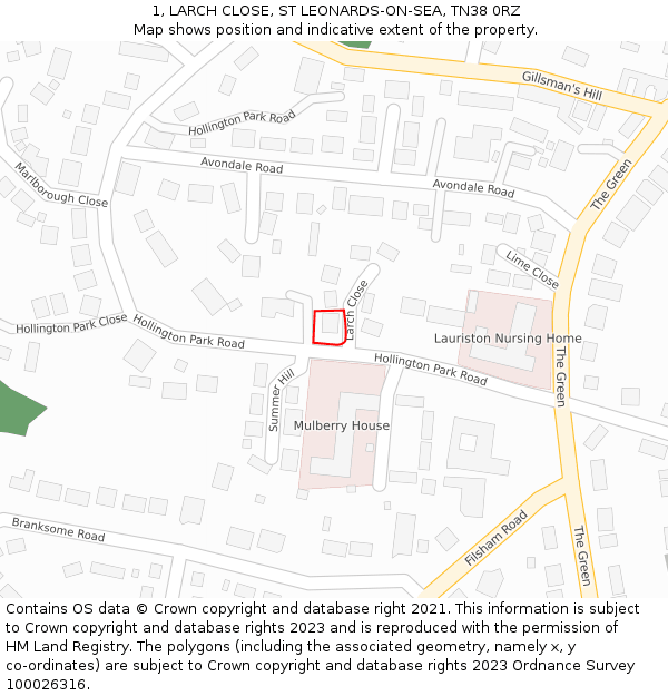 1, LARCH CLOSE, ST LEONARDS-ON-SEA, TN38 0RZ: Location map and indicative extent of plot