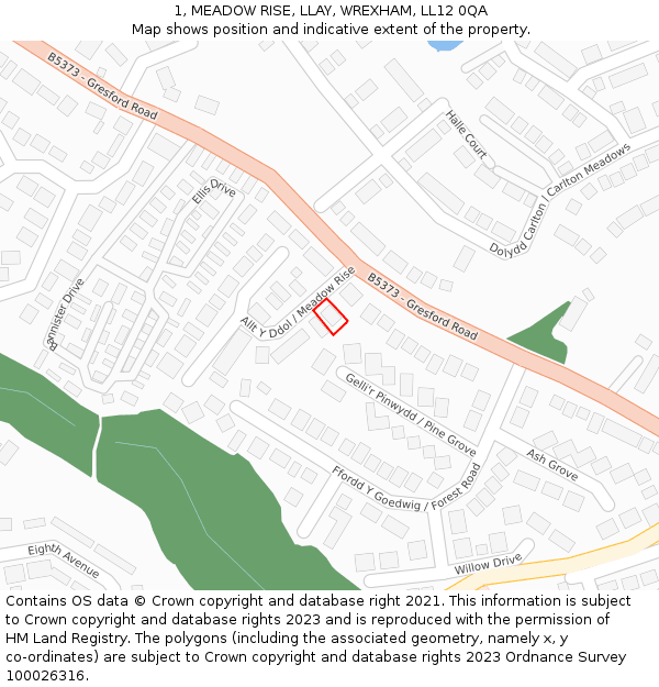 1, MEADOW RISE, LLAY, WREXHAM, LL12 0QA: Location map and indicative extent of plot