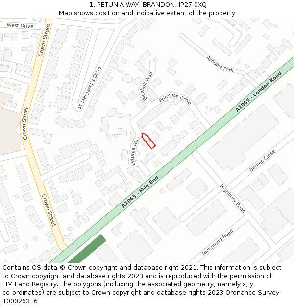 1, PETUNIA WAY, BRANDON, IP27 0XQ: Location map and indicative extent of plot