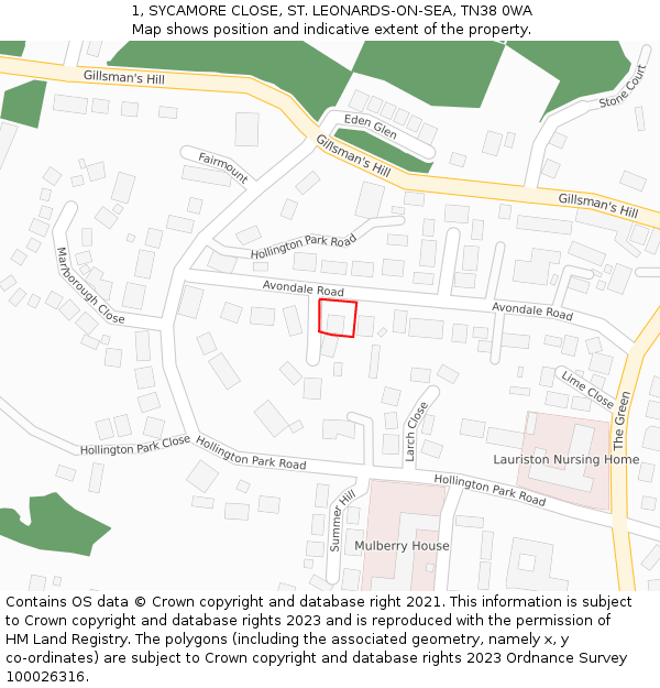 1, SYCAMORE CLOSE, ST. LEONARDS-ON-SEA, TN38 0WA: Location map and indicative extent of plot