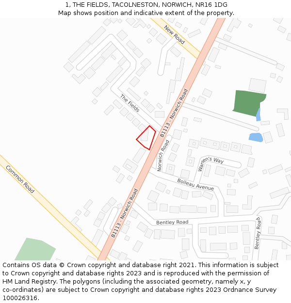 1, THE FIELDS, TACOLNESTON, NORWICH, NR16 1DG: Location map and indicative extent of plot