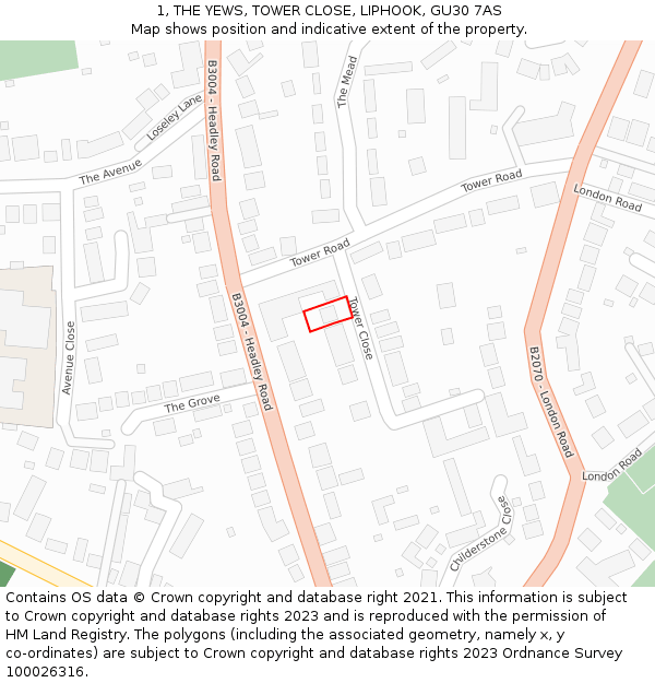 1, THE YEWS, TOWER CLOSE, LIPHOOK, GU30 7AS: Location map and indicative extent of plot