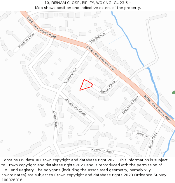 10, BIRNAM CLOSE, RIPLEY, WOKING, GU23 6JH: Location map and indicative extent of plot