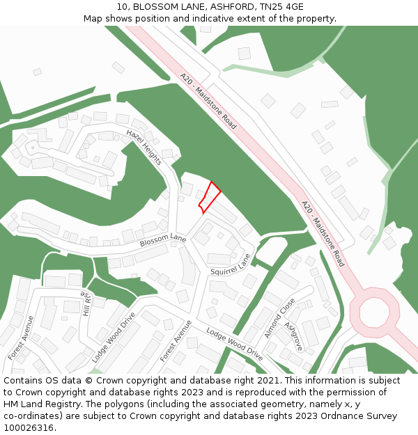 10, BLOSSOM LANE, ASHFORD, TN25 4GE: Location map and indicative extent of plot