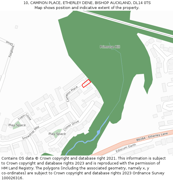 10, CAMPION PLACE, ETHERLEY DENE, BISHOP AUCKLAND, DL14 0TS: Location map and indicative extent of plot