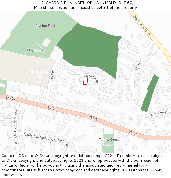 10, GARDD EITHIN, NORTHOP HALL, MOLD, CH7 6GJ: Location map and indicative extent of plot
