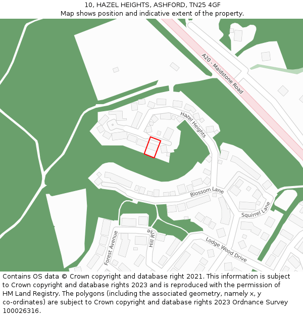 10, HAZEL HEIGHTS, ASHFORD, TN25 4GF: Location map and indicative extent of plot