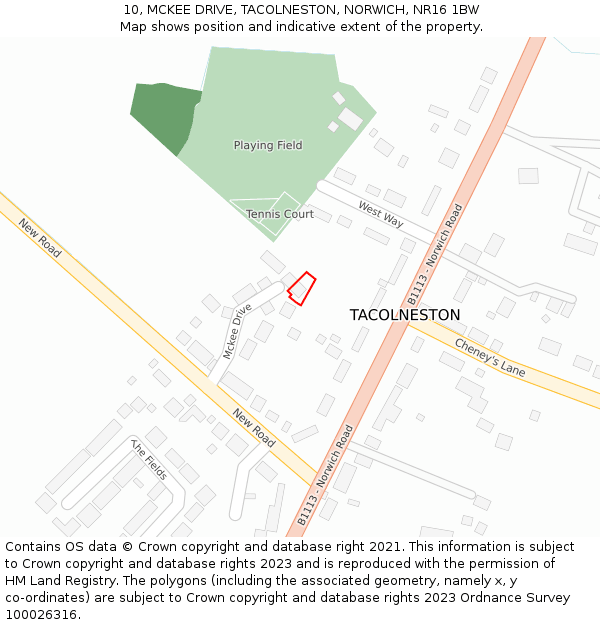 10, MCKEE DRIVE, TACOLNESTON, NORWICH, NR16 1BW: Location map and indicative extent of plot