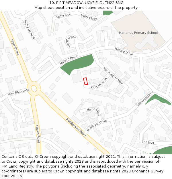 10, PIPIT MEADOW, UCKFIELD, TN22 5NG: Location map and indicative extent of plot