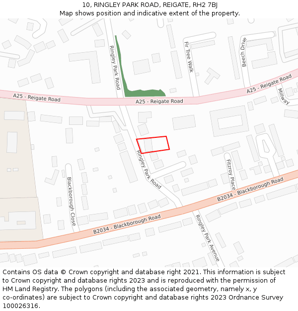 10, RINGLEY PARK ROAD, REIGATE, RH2 7BJ: Location map and indicative extent of plot