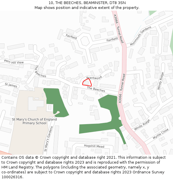 10, THE BEECHES, BEAMINSTER, DT8 3SN: Location map and indicative extent of plot