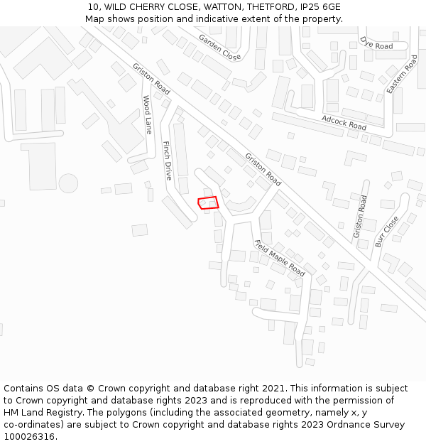 10, WILD CHERRY CLOSE, WATTON, THETFORD, IP25 6GE: Location map and indicative extent of plot