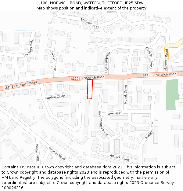 100, NORWICH ROAD, WATTON, THETFORD, IP25 6DW: Location map and indicative extent of plot