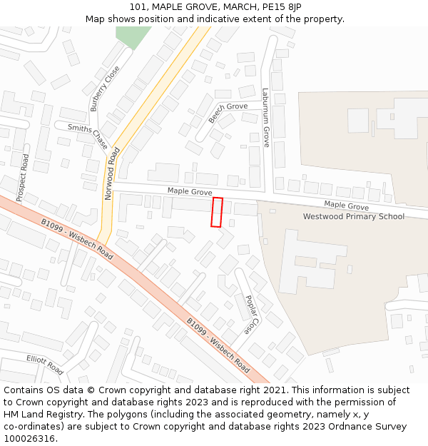 101, MAPLE GROVE, MARCH, PE15 8JP: Location map and indicative extent of plot