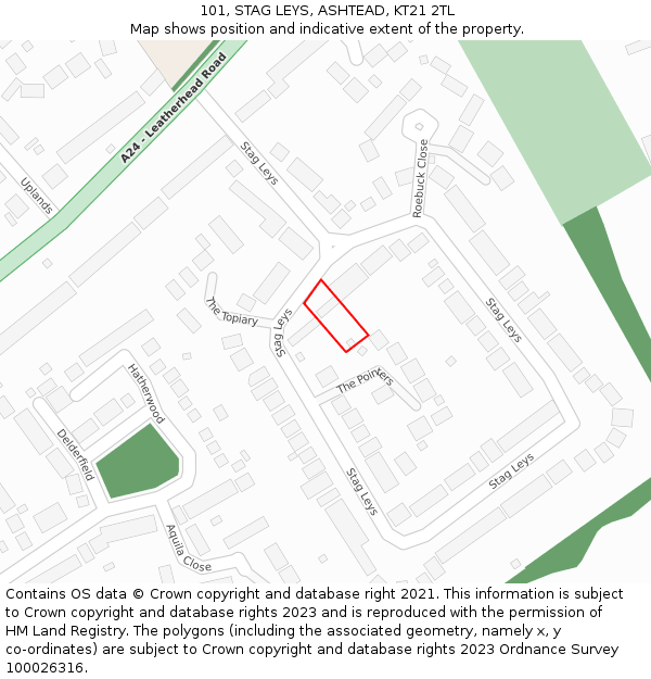 101, STAG LEYS, ASHTEAD, KT21 2TL: Location map and indicative extent of plot
