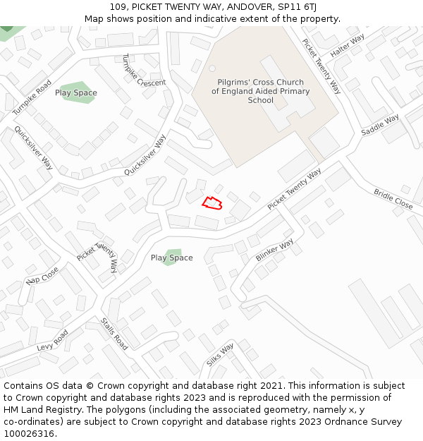 109, PICKET TWENTY WAY, ANDOVER, SP11 6TJ: Location map and indicative extent of plot