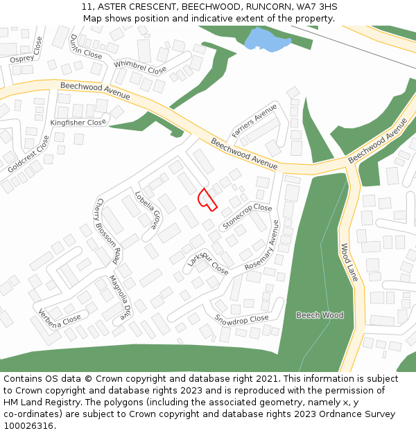 11, ASTER CRESCENT, BEECHWOOD, RUNCORN, WA7 3HS: Location map and indicative extent of plot