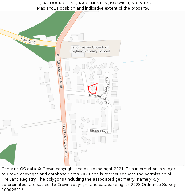 11, BALDOCK CLOSE, TACOLNESTON, NORWICH, NR16 1BU: Location map and indicative extent of plot