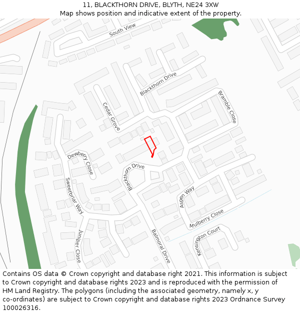 11, BLACKTHORN DRIVE, BLYTH, NE24 3XW: Location map and indicative extent of plot