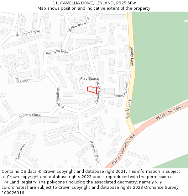 11, CAMELLIA DRIVE, LEYLAND, PR25 5RW: Location map and indicative extent of plot