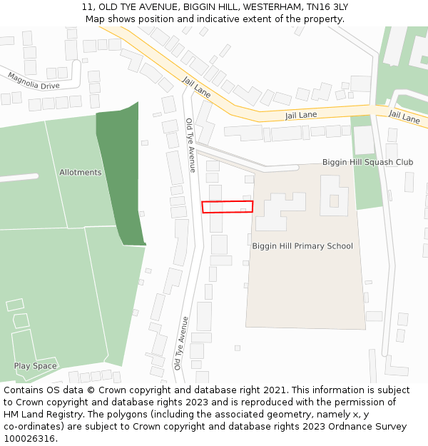 11, OLD TYE AVENUE, BIGGIN HILL, WESTERHAM, TN16 3LY: Location map and indicative extent of plot