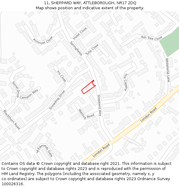 11, SHEPPARD WAY, ATTLEBOROUGH, NR17 2DQ: Location map and indicative extent of plot