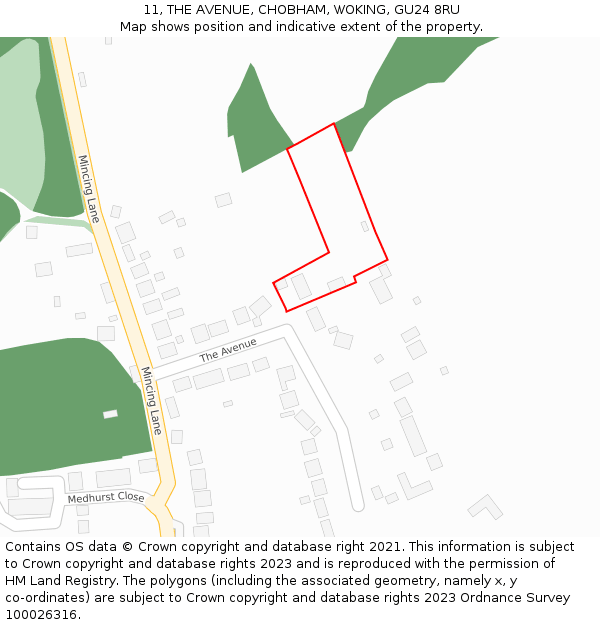 11, THE AVENUE, CHOBHAM, WOKING, GU24 8RU: Location map and indicative extent of plot