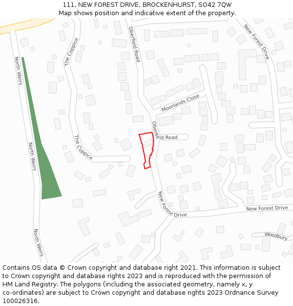 111, NEW FOREST DRIVE, BROCKENHURST, SO42 7QW: Location map and indicative extent of plot
