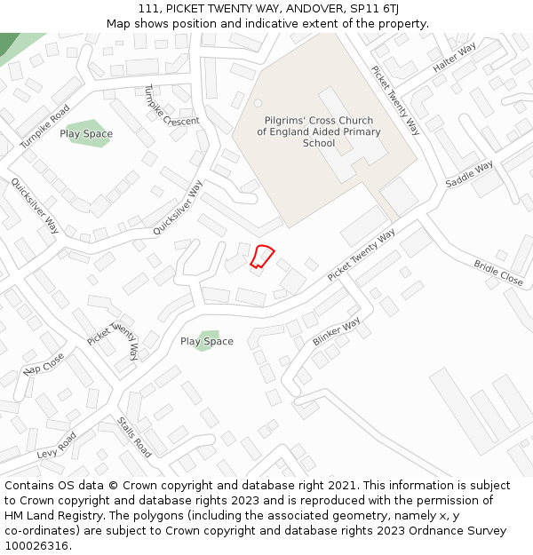 111, PICKET TWENTY WAY, ANDOVER, SP11 6TJ: Location map and indicative extent of plot