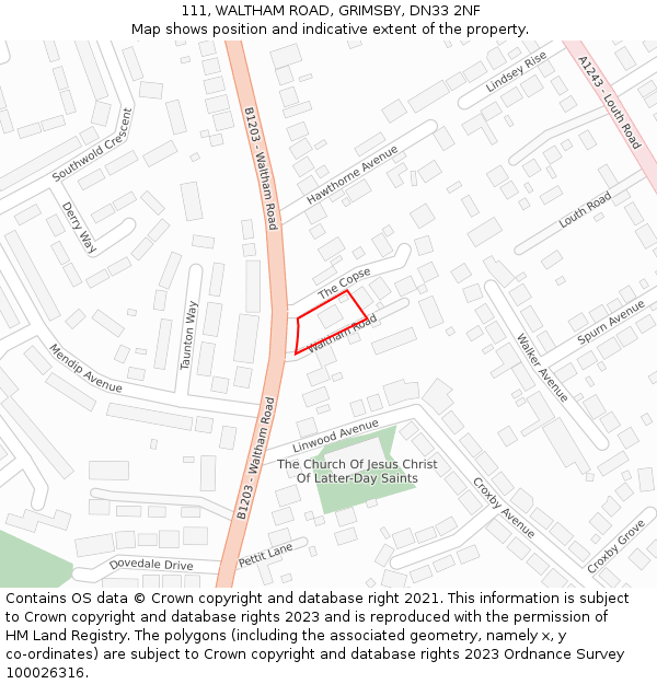 111, WALTHAM ROAD, GRIMSBY, DN33 2NF: Location map and indicative extent of plot