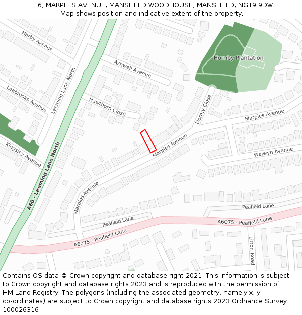 116, MARPLES AVENUE, MANSFIELD WOODHOUSE, MANSFIELD, NG19 9DW: Location map and indicative extent of plot