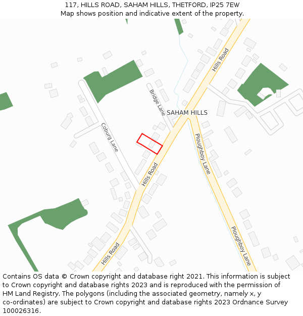 117, HILLS ROAD, SAHAM HILLS, THETFORD, IP25 7EW: Location map and indicative extent of plot