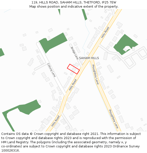 119, HILLS ROAD, SAHAM HILLS, THETFORD, IP25 7EW: Location map and indicative extent of plot