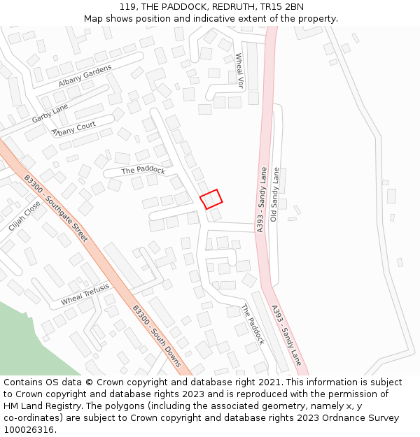 119, THE PADDOCK, REDRUTH, TR15 2BN: Location map and indicative extent of plot