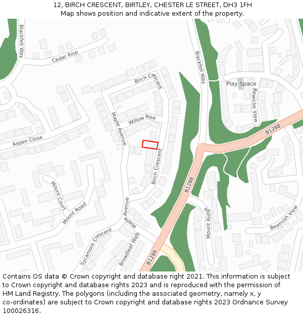 12, BIRCH CRESCENT, BIRTLEY, CHESTER LE STREET, DH3 1FH: Location map and indicative extent of plot