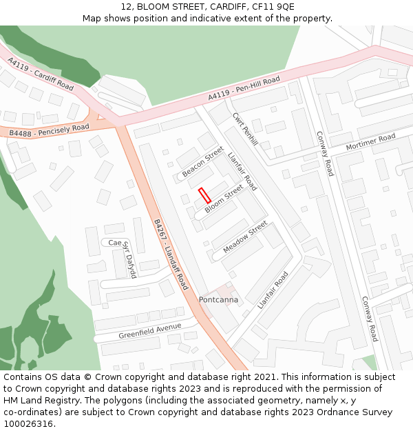 12, BLOOM STREET, CARDIFF, CF11 9QE: Location map and indicative extent of plot