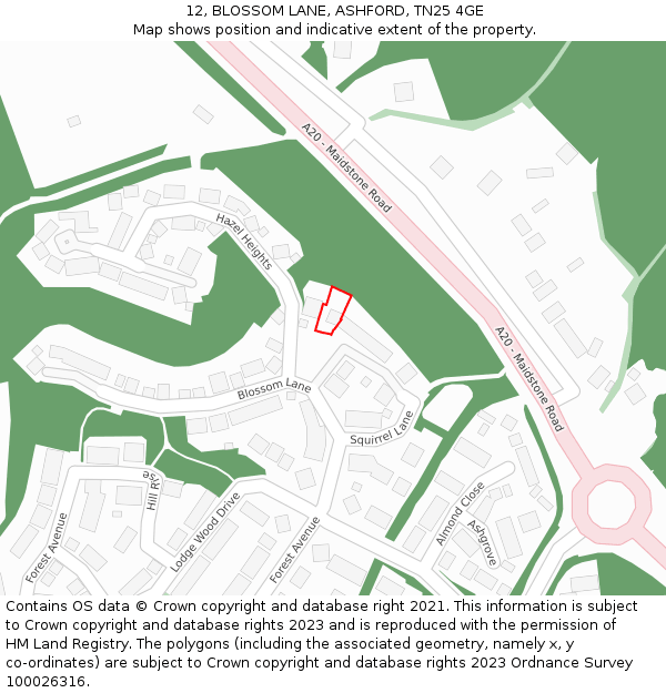 12, BLOSSOM LANE, ASHFORD, TN25 4GE: Location map and indicative extent of plot