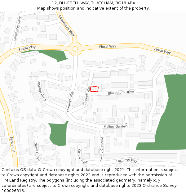 12, BLUEBELL WAY, THATCHAM, RG18 4BX: Location map and indicative extent of plot