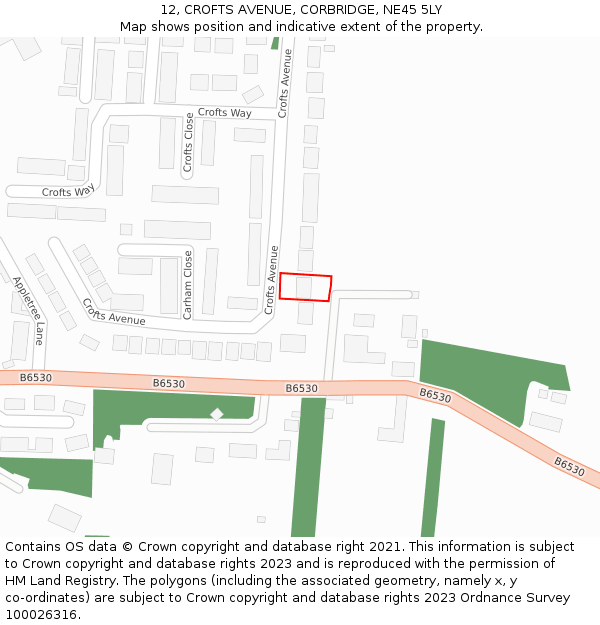 12, CROFTS AVENUE, CORBRIDGE, NE45 5LY: Location map and indicative extent of plot