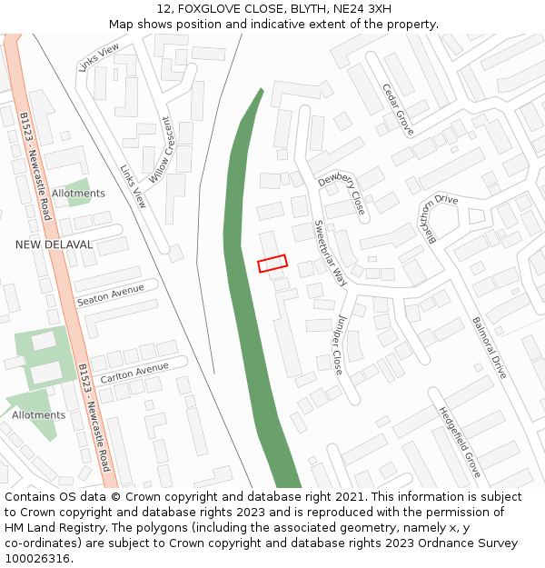 12, FOXGLOVE CLOSE, BLYTH, NE24 3XH: Location map and indicative extent of plot