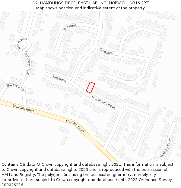 12, HAMBLINGS PIECE, EAST HARLING, NORWICH, NR16 2PZ: Location map and indicative extent of plot