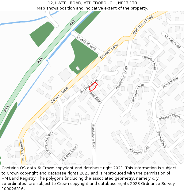 12, HAZEL ROAD, ATTLEBOROUGH, NR17 1TB: Location map and indicative extent of plot