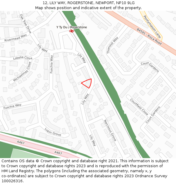 12, LILY WAY, ROGERSTONE, NEWPORT, NP10 9LG: Location map and indicative extent of plot