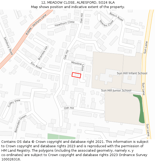 12, MEADOW CLOSE, ALRESFORD, SO24 9LA: Location map and indicative extent of plot