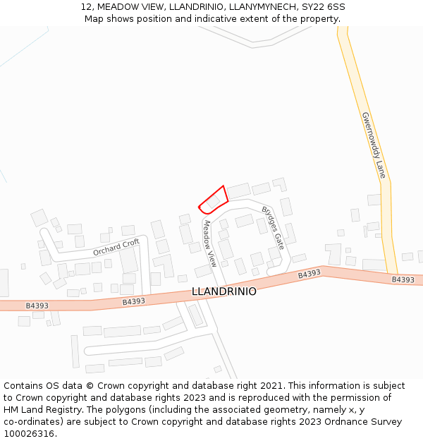 12, MEADOW VIEW, LLANDRINIO, LLANYMYNECH, SY22 6SS: Location map and indicative extent of plot